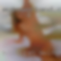 Michigan swingers homepage
