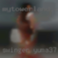 Swinger Yuma
